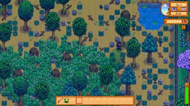 Играю в Stardew Valley