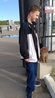 Привратник Солнечный кот