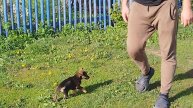 Камское Устье, улица Гоголя - нескучное место