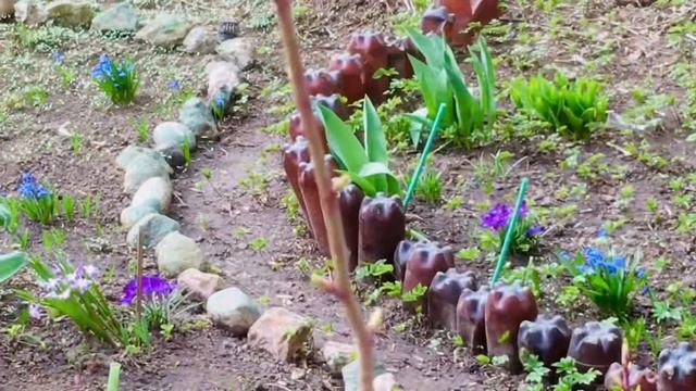 ☘️1376☘️  Сегодня прохладно 🍃🪻🍃подснежники 🍃прол