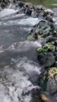 Вода- есть жизнь!🌾🌾