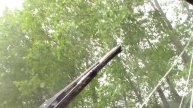 MVI_2283