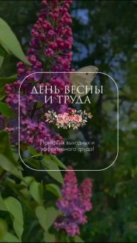 VID-20250501-WA0021