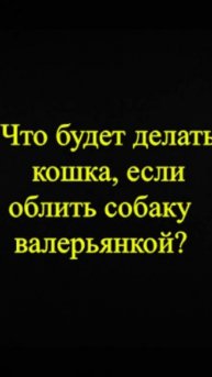 Мозгоправ самоубился. Книга первая. Вопрос 30
