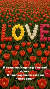 Весенний прибрежный бриз. В тюльпанах слово любовь оживает цветком.