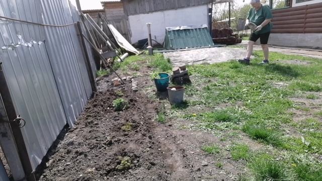 Ирина и творения. Опять пошло не по плану.