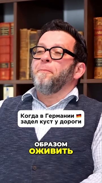 Когда в Германии 🇩🇪 задел куст у дороги