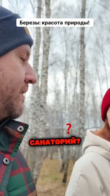 Березы  красота природы!