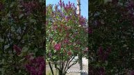 1000021648.mp4