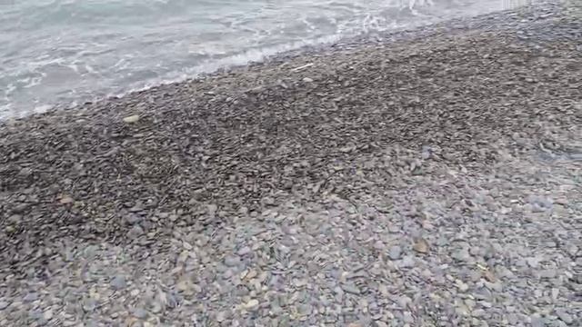 Пляж Сукко 8 мая 2025 года. Видео Дмитрия С. Море 8 мая, штормит и немного дождь капает.