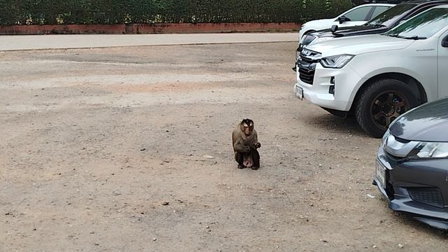 Территория военного пляжа.