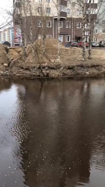 В Соломбалку несколько месяцев льётся зелёная вода из тепловой сети, неужели утечку так найти и н...