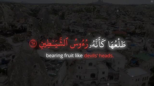 Ukrainian Front - Victory Day. Sane and Insane. 09.05.25