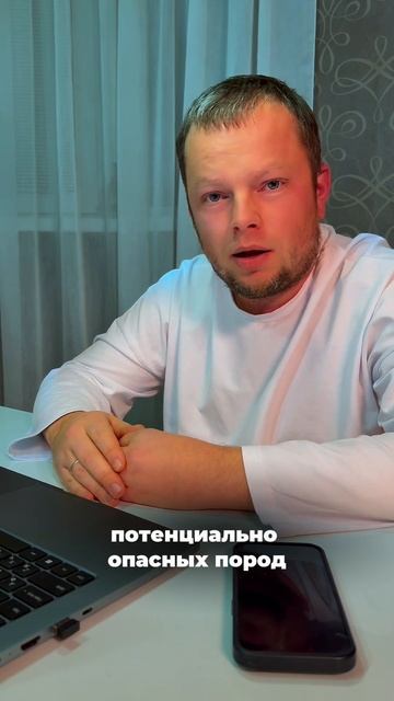 новые штрафы за выгул собак без намордников, но это ка?