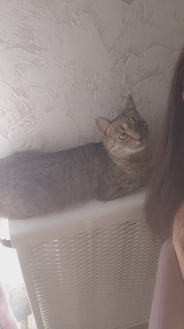 Доброе утро🦋