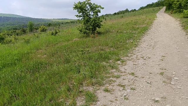 Прогулка на гору к месту поджога. Следствие ведётся... Сукко, ЖК Кипарис... Май 2025 года. Подробнее
