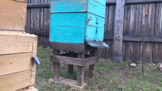 ПРОПАЛА МАТКА ИЗ ДОМИКА