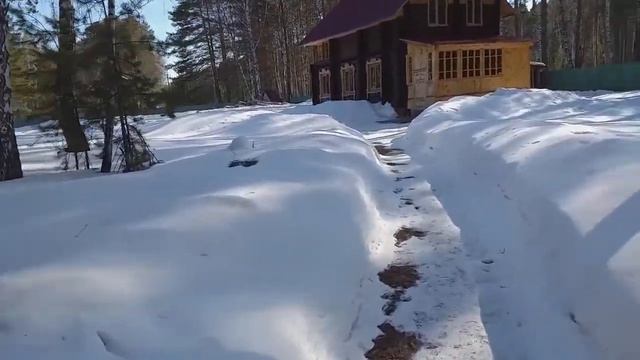 На даче в Царицынке 2019 г