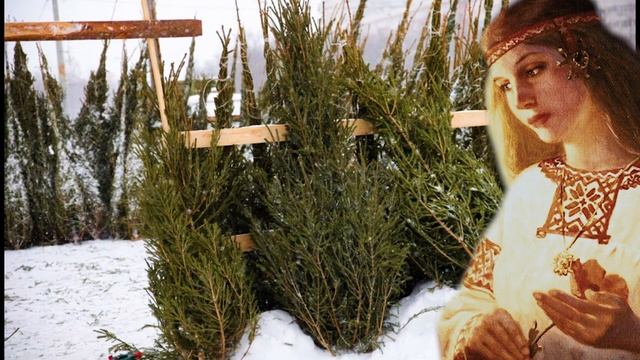 Новогодний обряд от вредных привычек