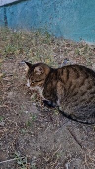 вот дают! второй завтрак едят не все😻