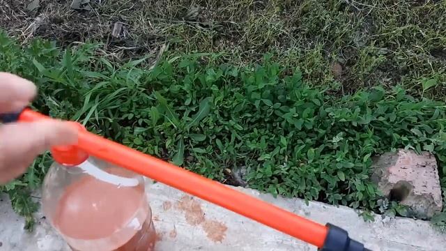 Вся Тля осыпится если обработать народным  средством. Мой опыт в борьбе с тлей и муравьями