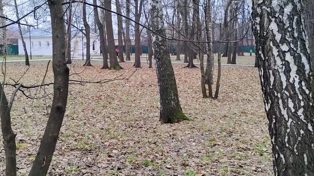 Белки не хотят есть. Занимаются запасами на зиму.