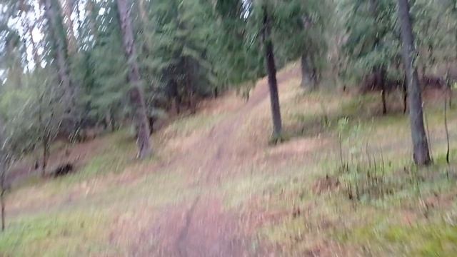 Мопед с двигателем от триммера. Вид от первого лица