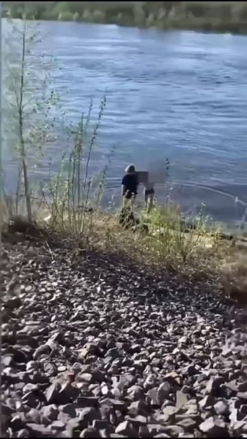 Жительница Тюмени обеспокоена мальчиками, которые начали купаться в водоемах уже в первых числах ...