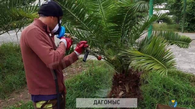 Обработка города бабочка.mp4