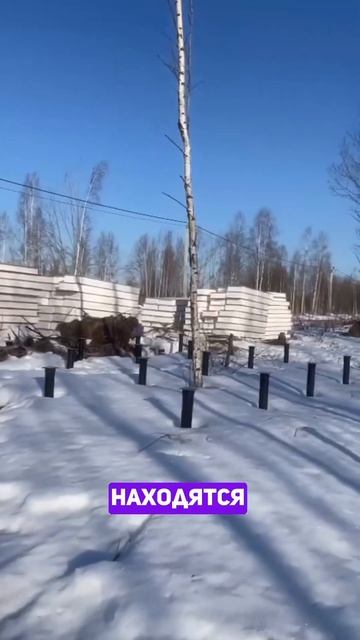 ☀️СТРОИТЕЛЬСТВО В ШАХОВСКОЙ, МО. РУБИМ БЕРЕЗЫ И СТАВИ