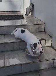 Действия выполняют профессионалы🤣