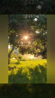 скоро самое не забываемое лето..💗
