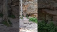 Пермский край, Каменный город, Басеги, уральский хребе