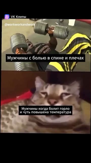 Когда температура 36.6