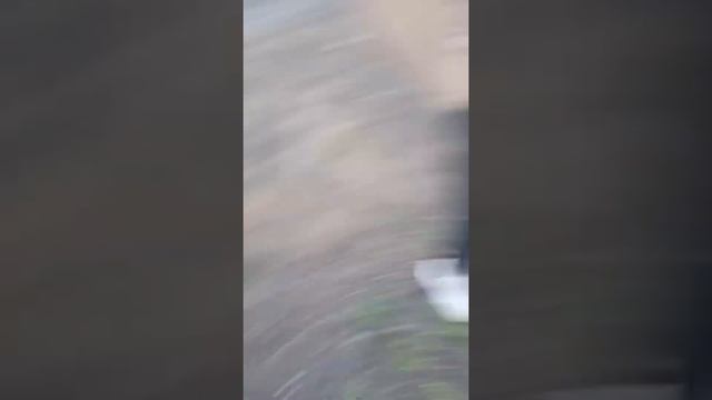 Правда или действие  с Дианой в лесу /Не дождались вопр