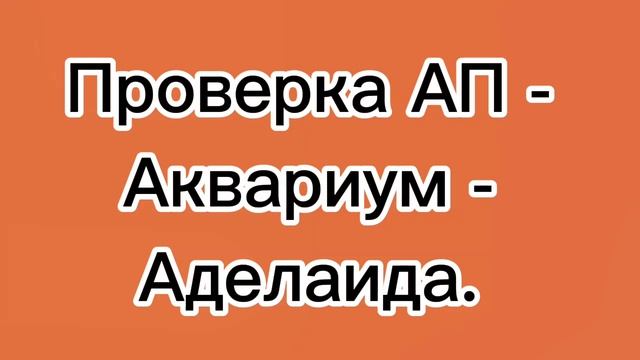Проверка авторских прав - Аквариум - Аделаида.
