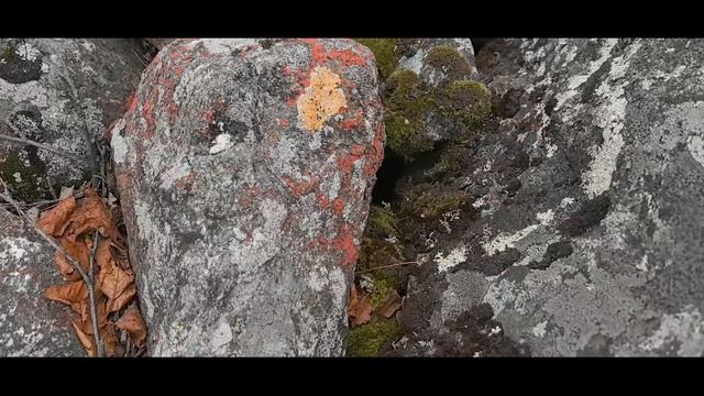 Уральские горы, сила тайги, поход с женой , мандаринка снова в деле.  серебрянский камень