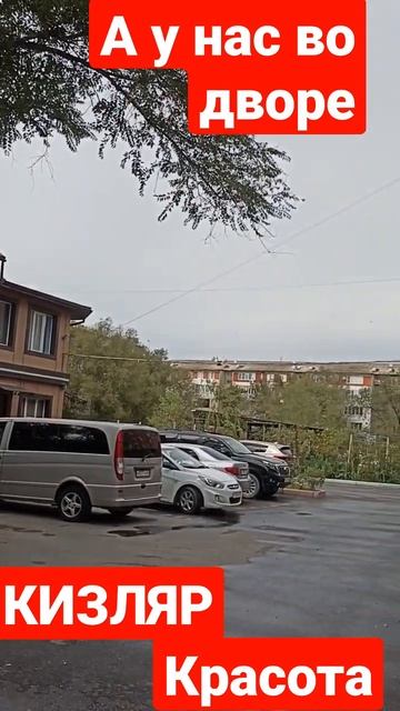 Красота во дворе руками жильцов. 👍👏🌸🌷🌹