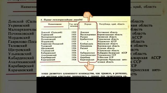 Карачаевская порода лошадей , отечественное коневодс?