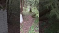 Сталк. Заброшенный пионерский лагерь Салют. Имени Гайдара. Рогачевское шоссе, Подмосковье.