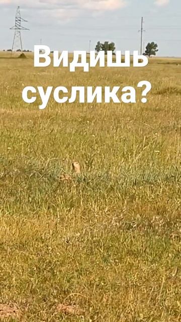 А ОН ТАМ ЕСТЬ! #shorts #прикольно #сибирь #хутор #июль