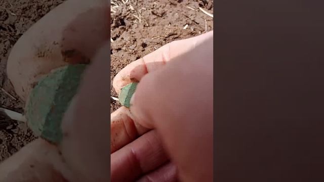 VID_20250509_161513_901.mp4