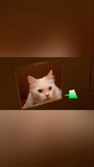 Когда ты котик, для тебя нет преград! #кусьшоу #челленджи #котики #котэ