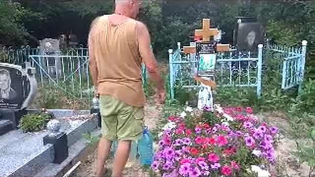 Романовка 13.07.2024