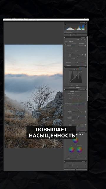 Lightroom： Красочность или Насыщенность？ #обработкафото #лайтрум #обучениефото [MVRvdCajbAY]