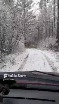 по лесным дорожкам