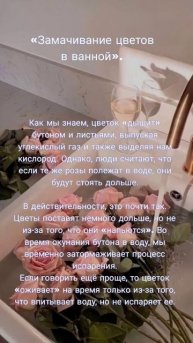 Этот миф не относится к гортензии и в следующих видео ?