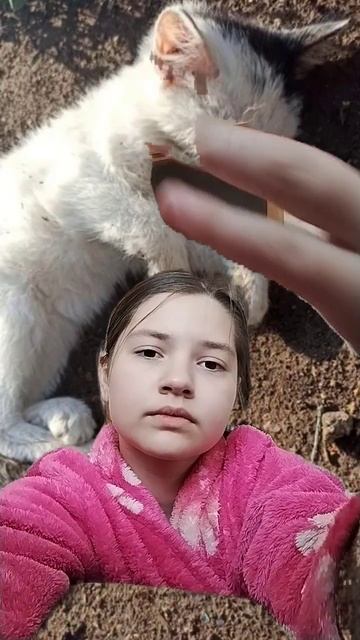 Жизнь-суровая штука. Сегодня вы есть, а завтра вы лежит