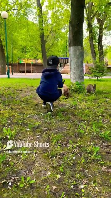 …получается, сегодня кролика не пажрём🐰 #смешныеживотные #смешнойшортс #шортс #shorts #кролики