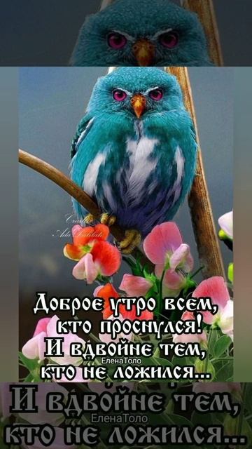 Доброе утро🤗С любовью улыбайтесь, с надеждой вставай